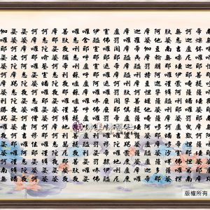 H19 大悲咒