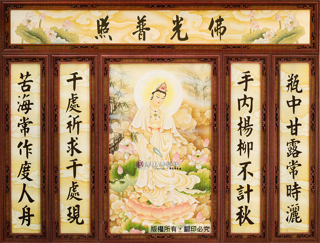 硬殼P25 C20