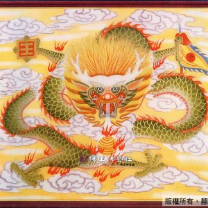 D23 猛龍